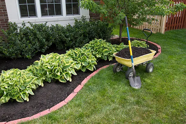 Eco Landscaping