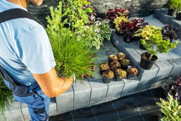 Planting & Installation